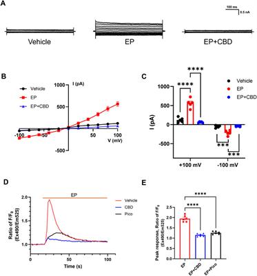 Cannabidiol inhibits transient receptor potential canonical 4 and modulates excitability of pyramidal neurons in mPFC